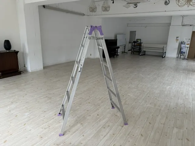 Step ladder (large)