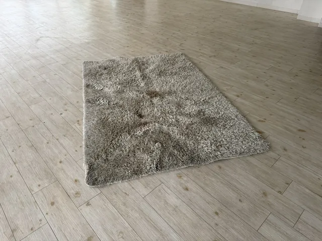 Rug